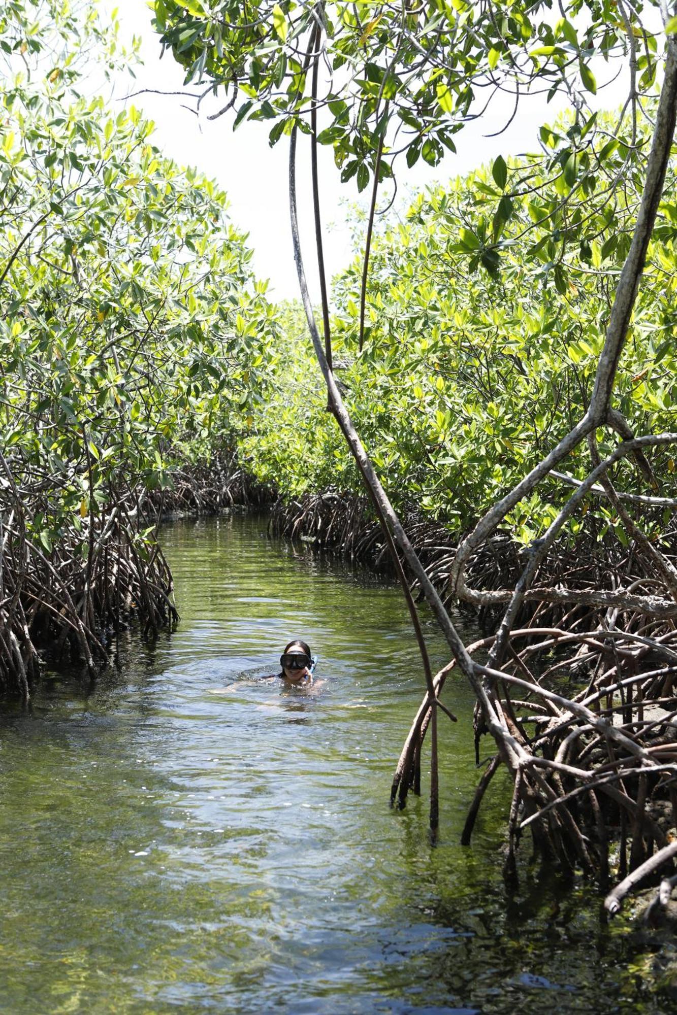 فندق Sal Si Puedes Tintipan Island المظهر الخارجي الصورة